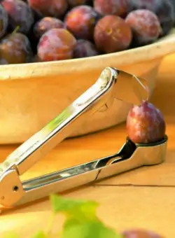 Aparat scos samburi prune Leifheit Proline