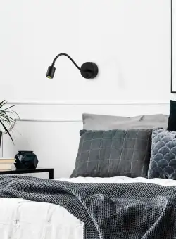 Aplica Reading - 3241