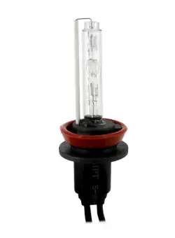 Bec Xenon H11-6K - CARGUARD