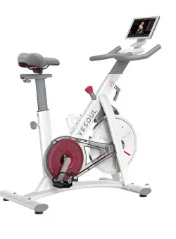 Bicicleta fitness YESOUL Spinning Bike S3 Pro, White