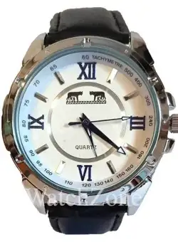 Ceas Barbatesc Matteo Ferari Silverdale MF003