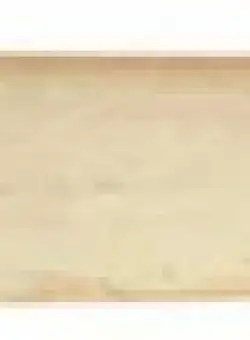 COADA LEMN PENTRU TOPOR 2.5KG VOREL