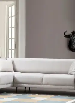 Coltar Image pe stanga bej