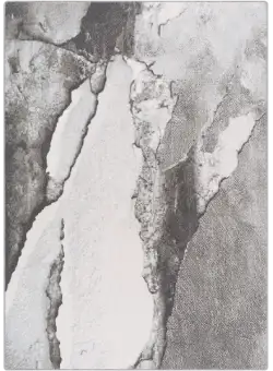 COVOR MAGIC 240X330 CM