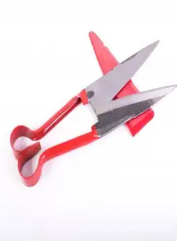 Foarfeca oaie rosu Eco gf-0423