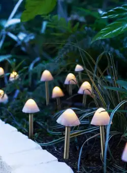 Garden of Eden - Lampa solara LED 12 buc. ciuperci mini alb cald 24 cm x 4 m