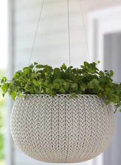 Ghiveci bej suspendat Keter Cozies M 9.4 L