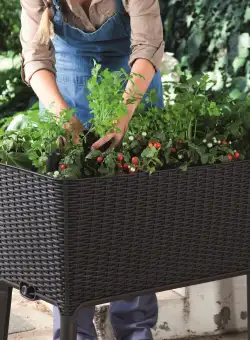 Ghiveci graphite Keter Easy Grow 120 L