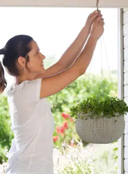 Ghiveci gri suspendat Keter Cozies M 9.4 L