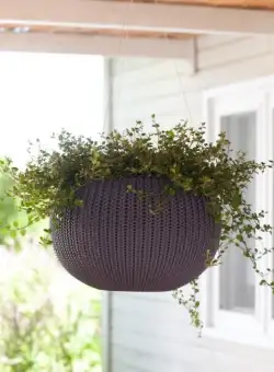 Ghiveci violet suspendat Keter Cozies M 9.4 L