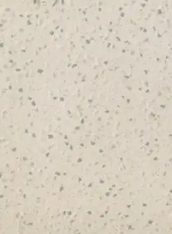 Gresie portelanata rectificata FMG Stream 30x30cm 9mm Wheat Natural