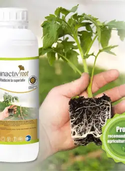 Kinactiv Root 1 L biostimulator inradacinare cu aminoacizi si microelemente, radicular sistemic, Summit Agro, produs Bio/ ecologic