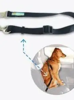 Lesa Centura Auto de Siguranta ,pentru Caini, Pisici sau alte Animale de Companie