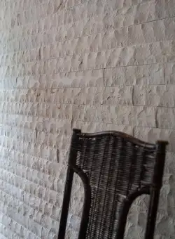 Limestone Vratza Scapitat, 7 cm x LL x 1.5 cm