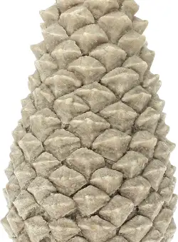 Lumanare parfumata La Francaise Feeries Vegetales Pommes de Pin L 45 ore Beige