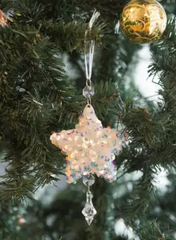 Ornament pentru bradul de Craciun - stea- irizat, acrilic - cu agatatoare - 2 forme: fulg si stea