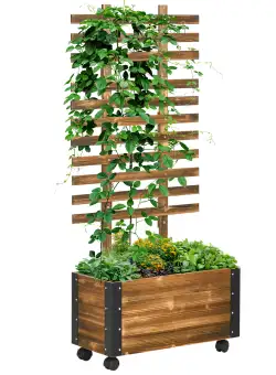 Outsunny Jardiniera cu Spalier pentru Plante Agatatoare si Roti, Jardiniera din Lemn de Brad cu Design Autodrenant, 65x31x147 cm, Maro Carbonizat
