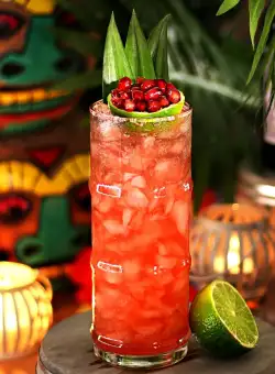 Pahar cocktail Libbey Bamboo 473 ml