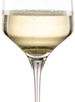 Pahar vin spumant Zwiesel Glas Ink handmade cristal Tritan 400ml albastru