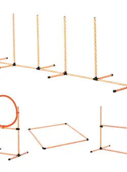 PawHut Set de Antrenament pentru Câini Nivel Începători, Echipament Dresaj din ABS/PE/PVC, Portocaliu, Ușor de Asamblat | Aosom Romania