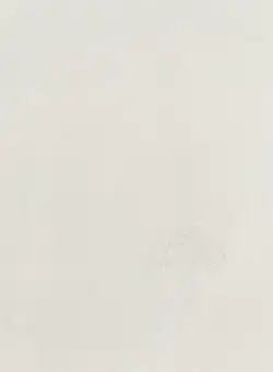 Piatra Sinterizata L'ALTRA PIETRA Duomo Mint, 60 x 90 x 2 cm, R11 (Non-Slip)