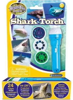 Proiector tip lanterna Rechini