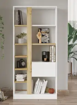 Raft de carti LV21-WK