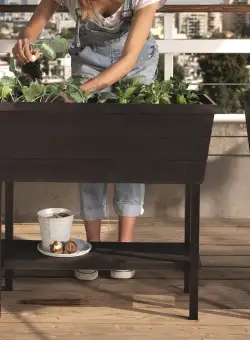 Rasadnita maro cu etajera Keter Urban Bloomer