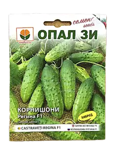 Seminte castraveti cornison Regina F1 2 gr, OpalZi Bulgaria