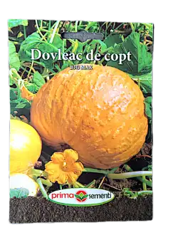 Seminte dovleac de copt Big Max 3 gr, Prima Sementi