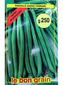 Seminte fasole verde Ferrari 250 gr, Le Bon Grain