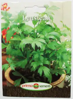 Seminte Leustean
