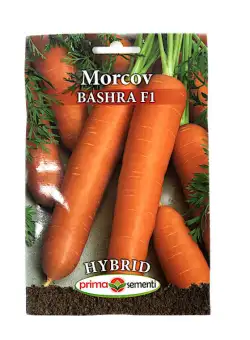 Seminte morcov Bashra F1