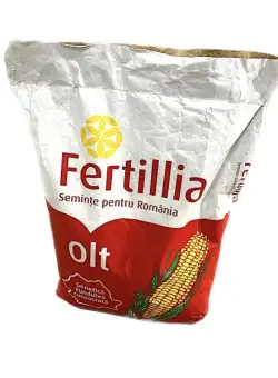 Seminte porumb Olt Fertillia 25.000 boabe, FAO 430