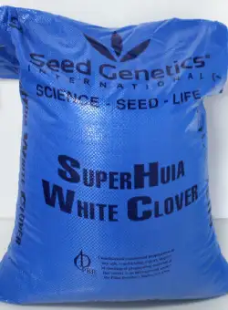 Seminte trifoi alb 25kg