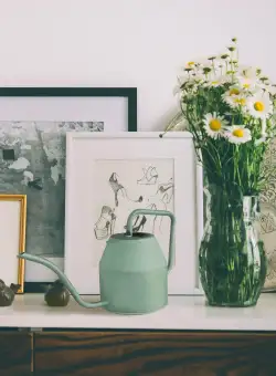 Stropitoare, Verde, 12x13x12 cm