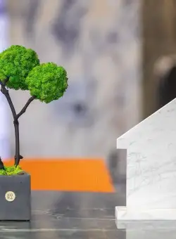 Trofeu Marmura Locul 1